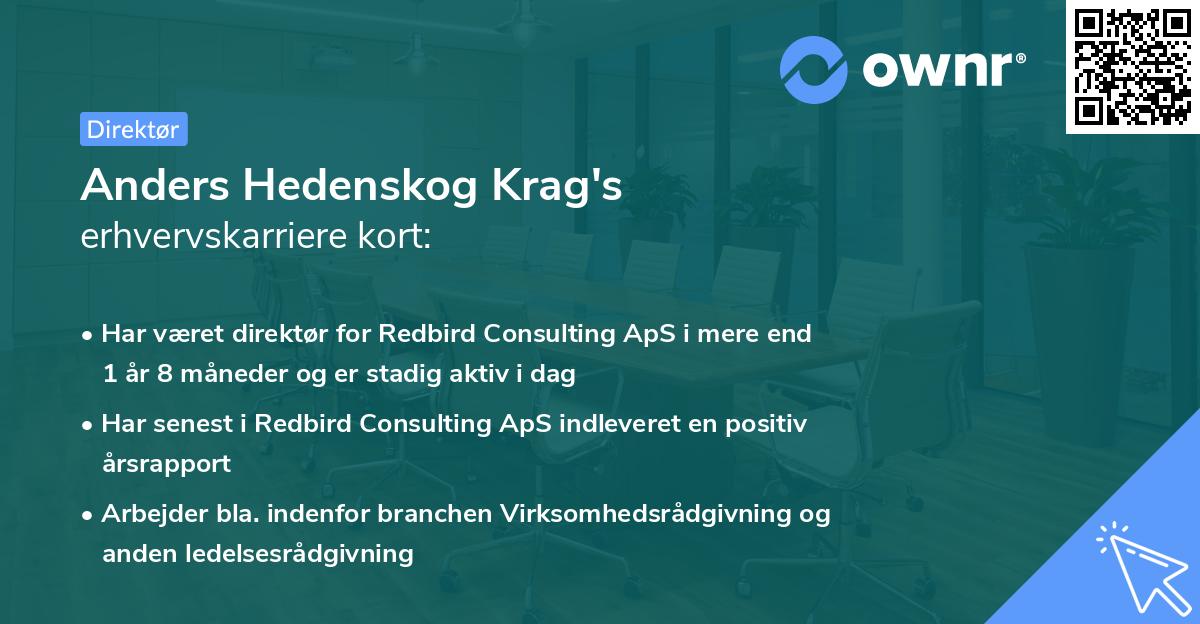 Anders Hedenskog Krag's erhvervskarriere kort