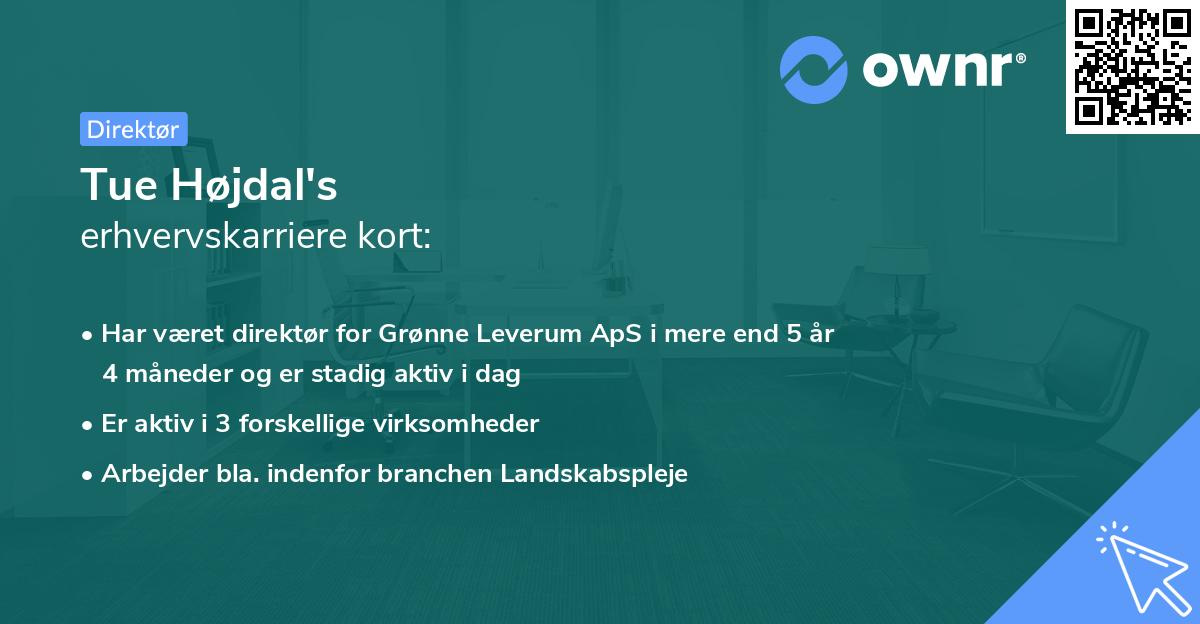 Tue Højdal's erhvervskarriere kort