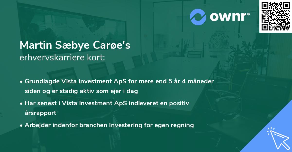 Martin Sæbye Carøe's erhvervskarriere kort