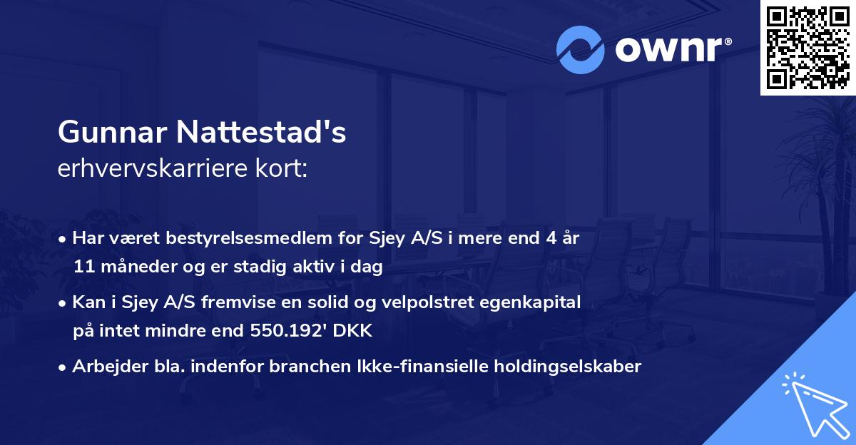 Gunnar Nattestad's erhvervskarriere kort