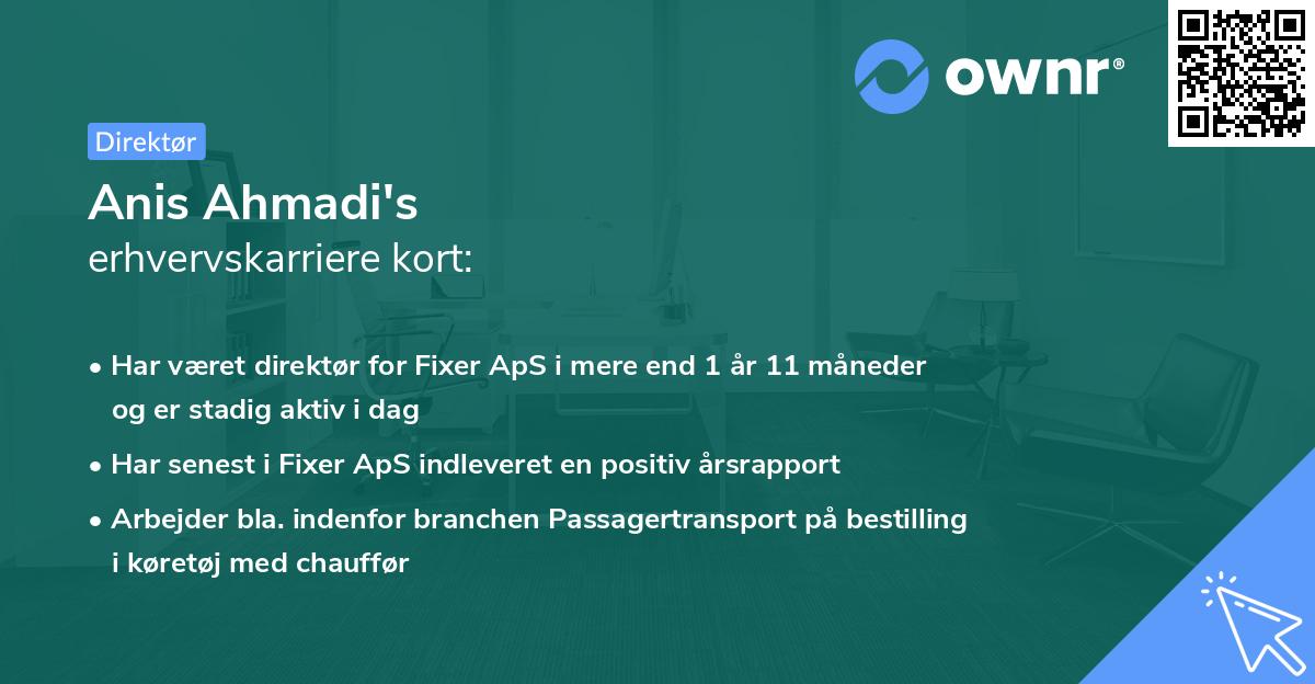 Anis Ahmadi's erhvervskarriere kort