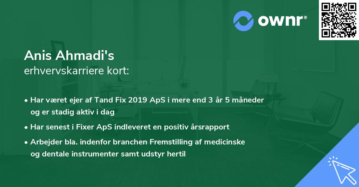 Anis Ahmadi's erhvervskarriere kort