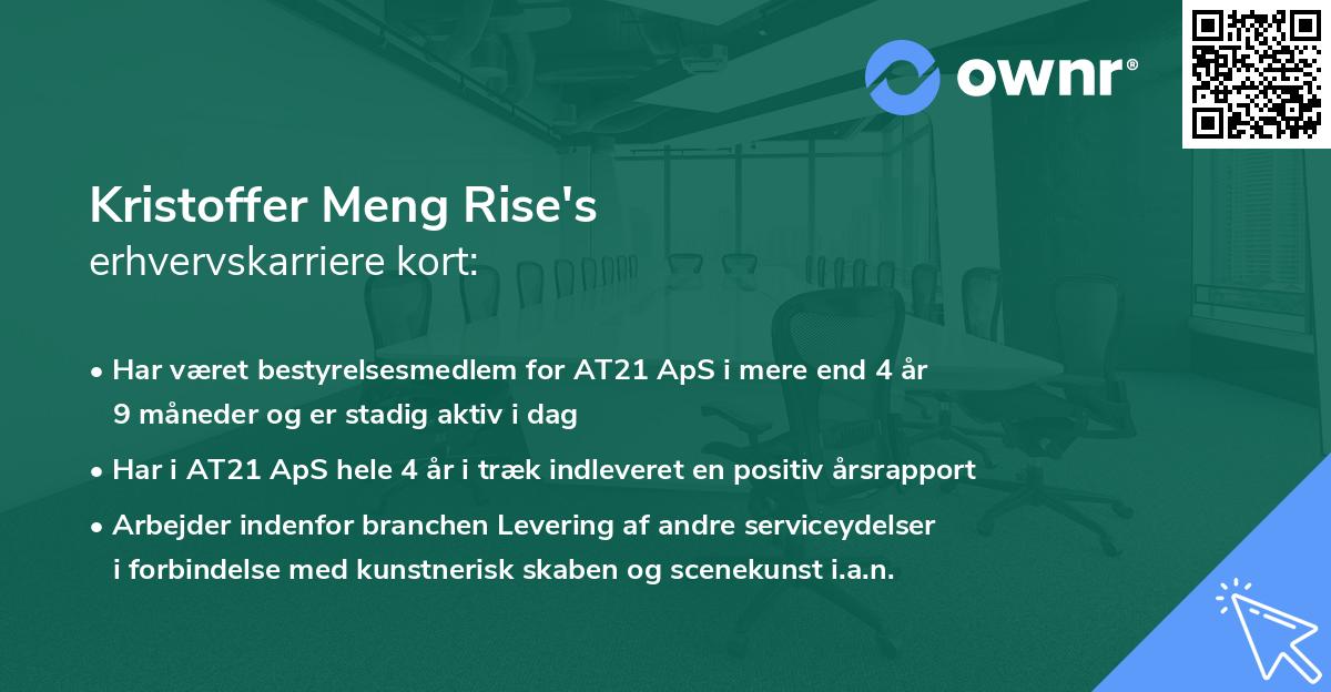 Kristoffer Meng Rise's erhvervskarriere kort