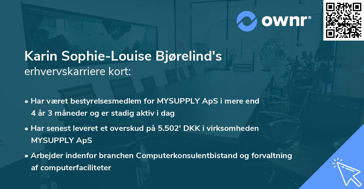 Karin Sophie-Louise Bjørelind's erhvervskarriere kort