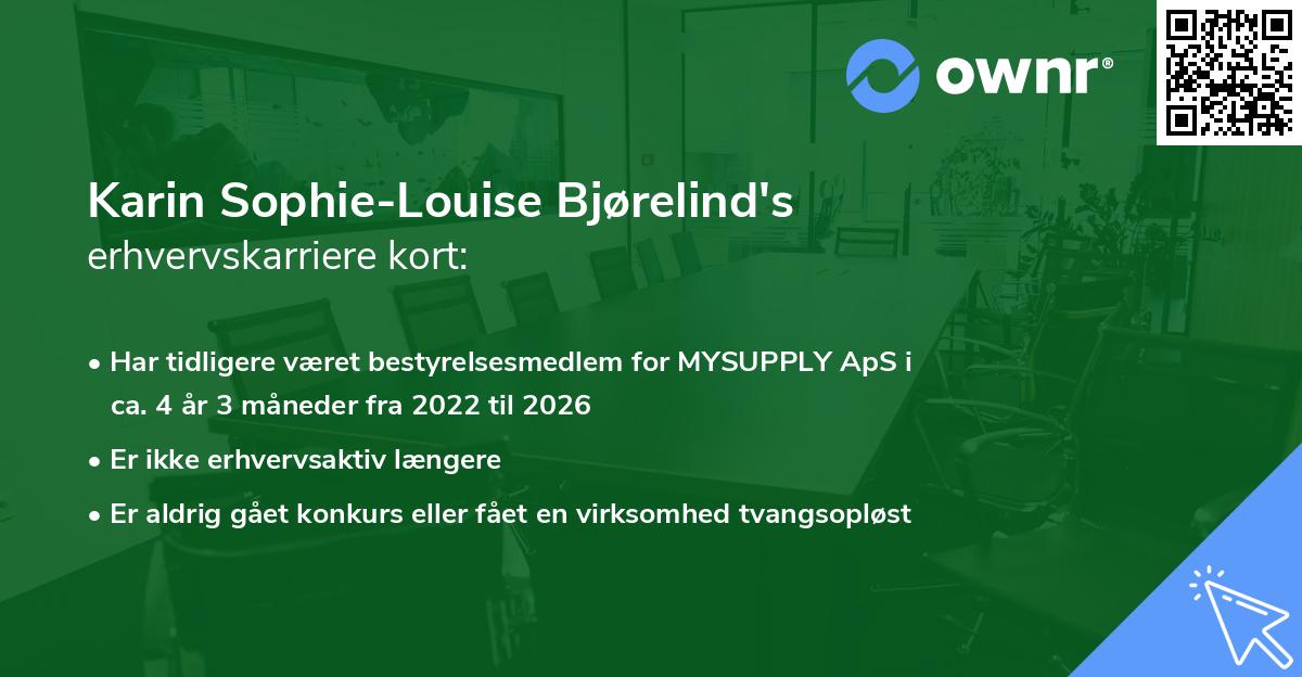 Karin Sophie-Louise Bjørelind's erhvervskarriere kort