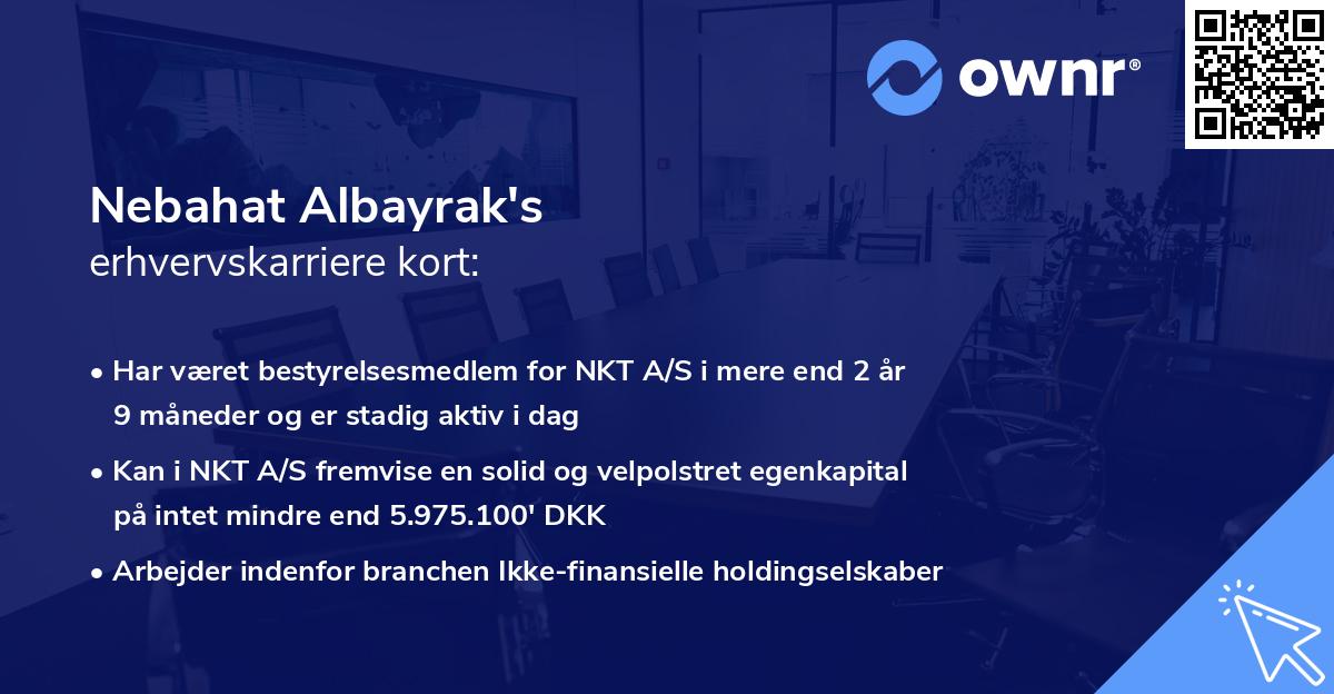 Nebahat Albayrak's erhvervskarriere kort