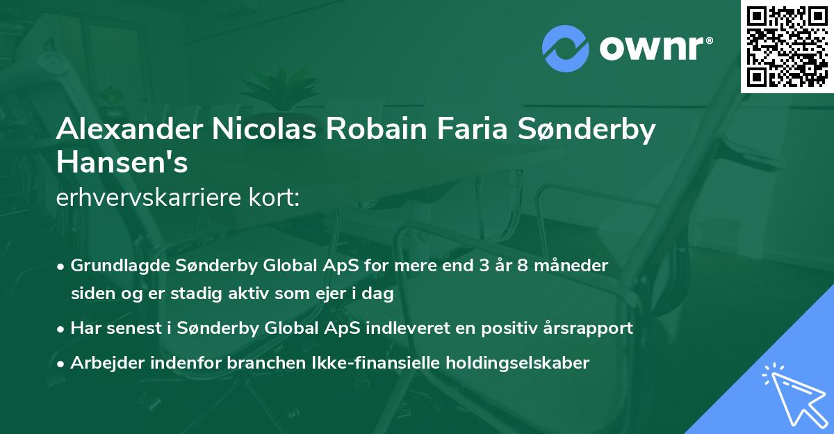 Alexander Nicolas Robain Faria Sønderby Hansen's erhvervskarriere kort