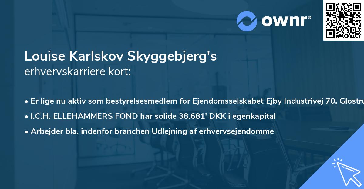 Louise Karlskov Skyggebjerg's erhvervskarriere kort