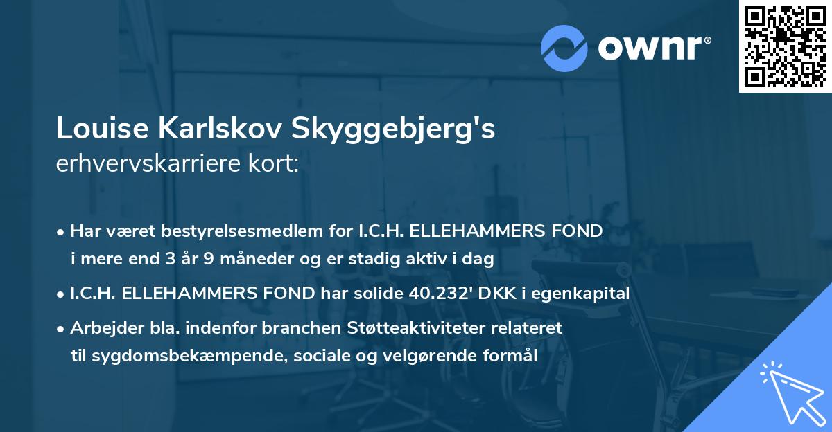 Louise Karlskov Skyggebjerg's erhvervskarriere kort