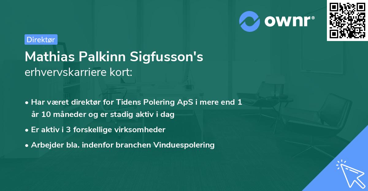 Mathias Palkinn Sigfusson's erhvervskarriere kort