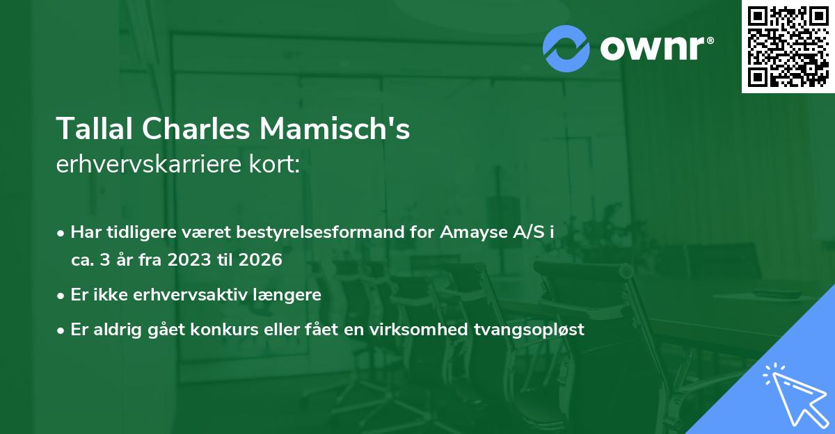 Tallal Charles Mamisch's erhvervskarriere kort