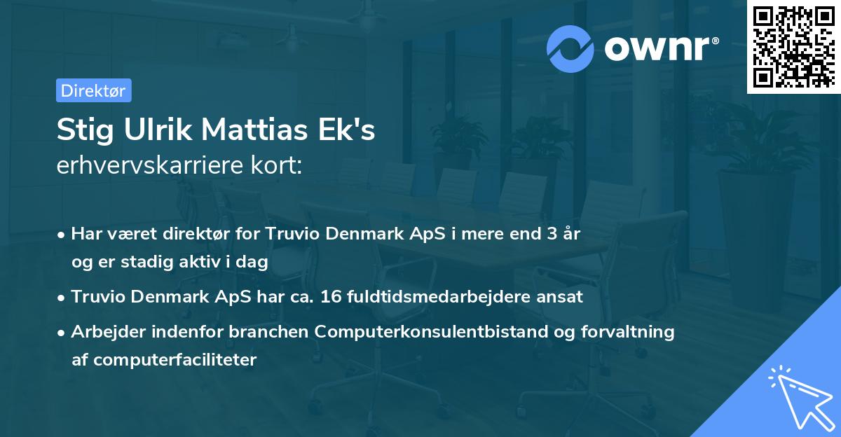Stig Ulrik Mattias Ek's erhvervskarriere kort