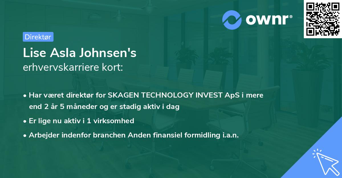 Lise Asla Johnsen's erhvervskarriere kort