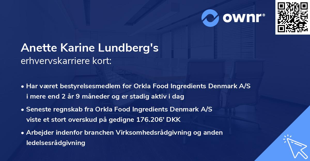 Anette Karine Lundberg's erhvervskarriere kort