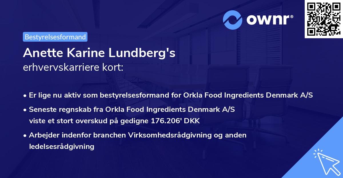 Anette Karine Lundberg's erhvervskarriere kort