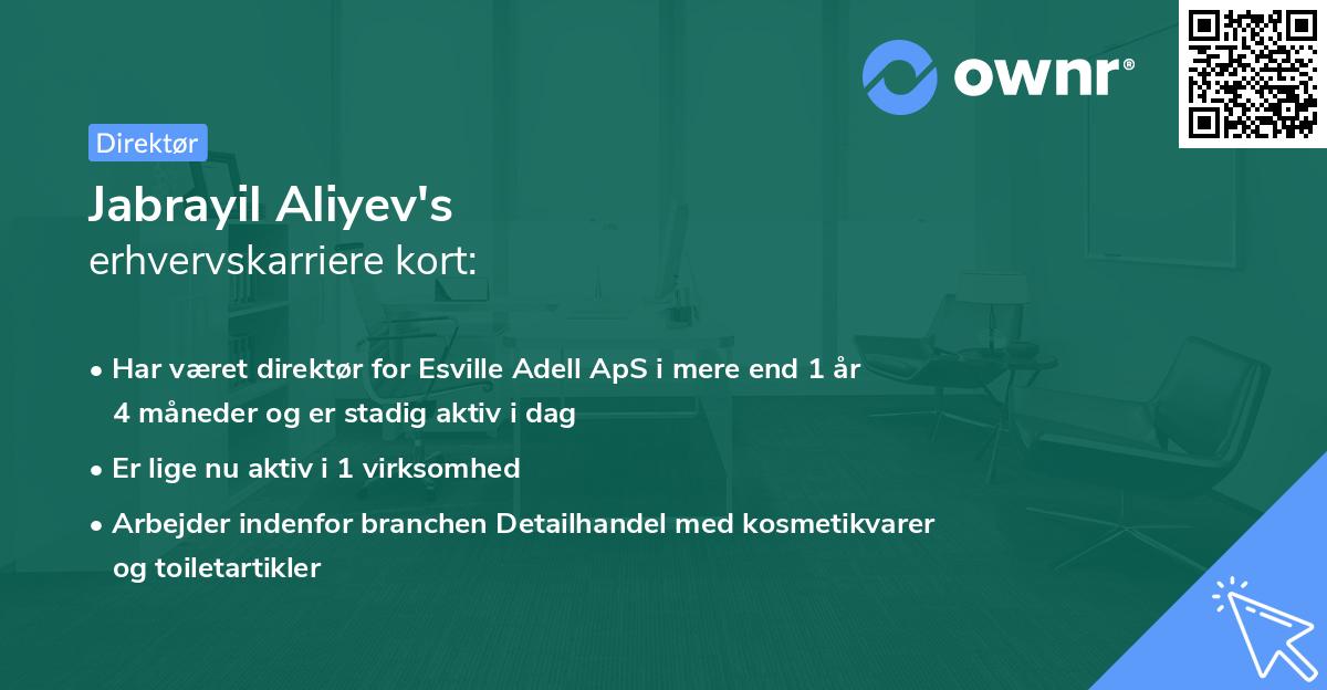 Jabrayil Aliyev's erhvervskarriere kort