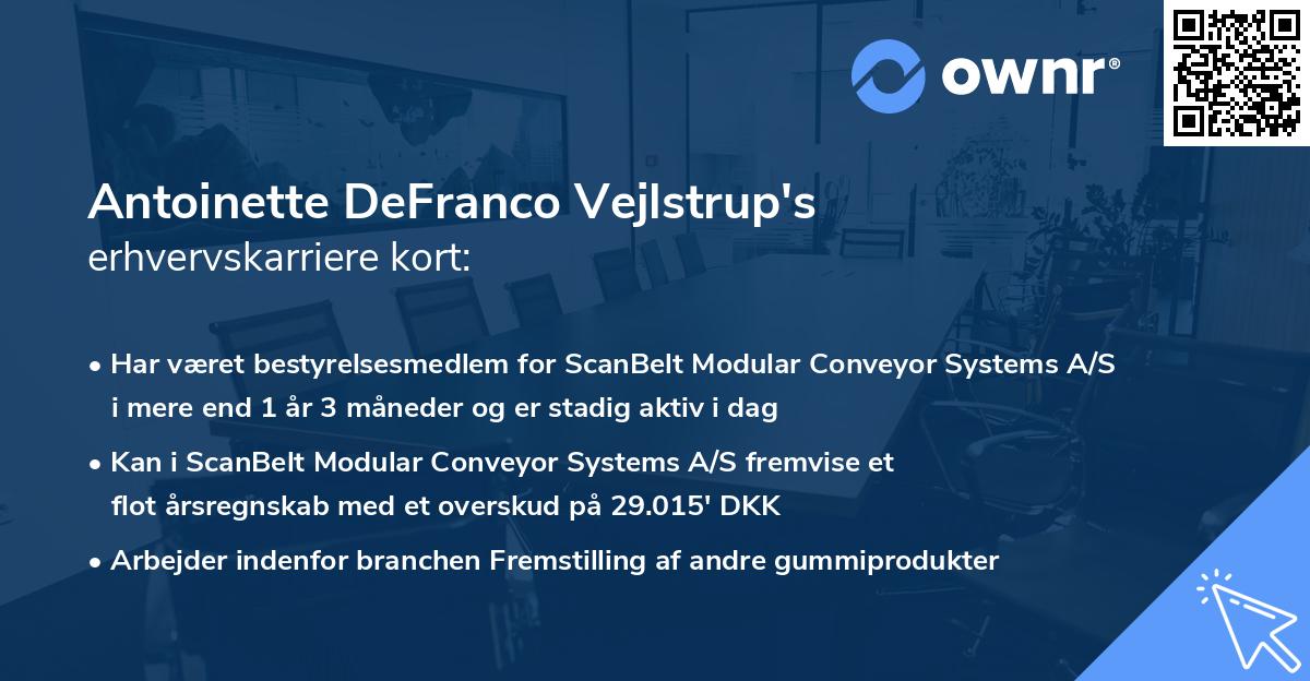 Antoinette DeFranco Vejlstrup's erhvervskarriere kort