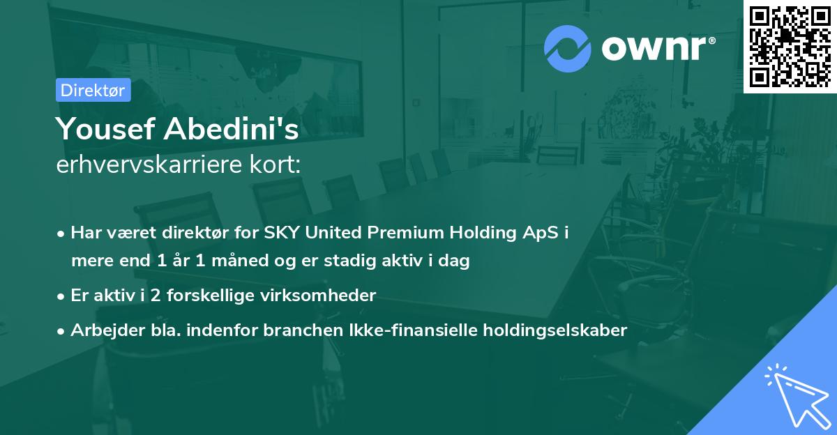 Yousef Abedini's erhvervskarriere kort