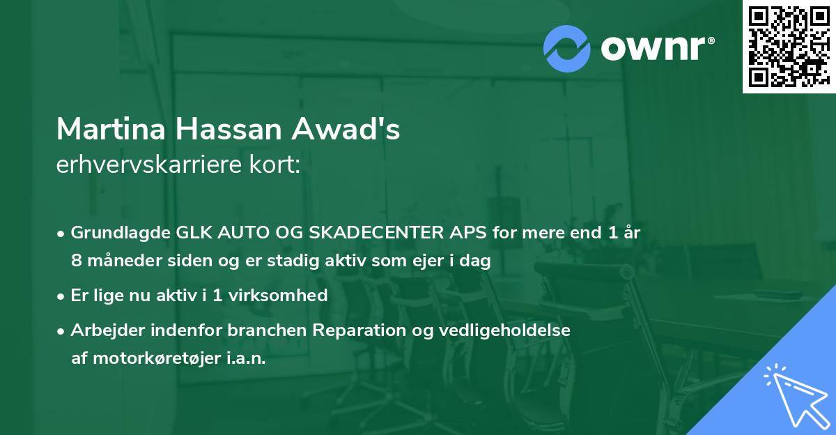 Martina Hassan Awad's erhvervskarriere kort