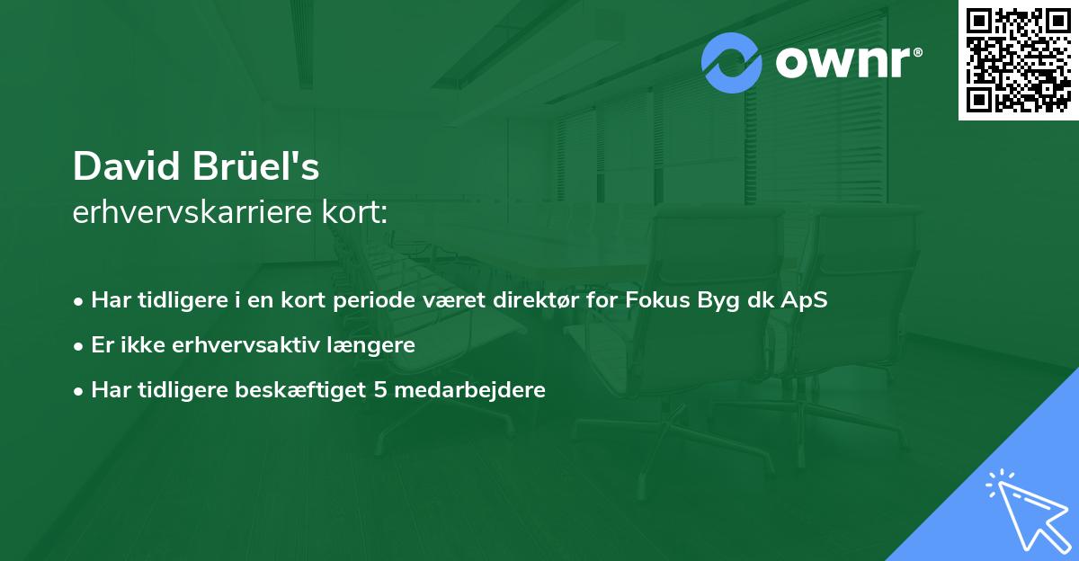 David Brüel's erhvervskarriere kort