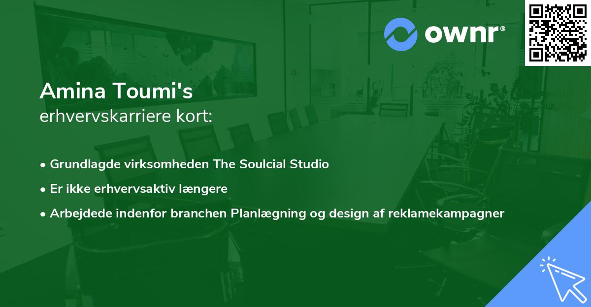 Amina Toumi's erhvervskarriere kort