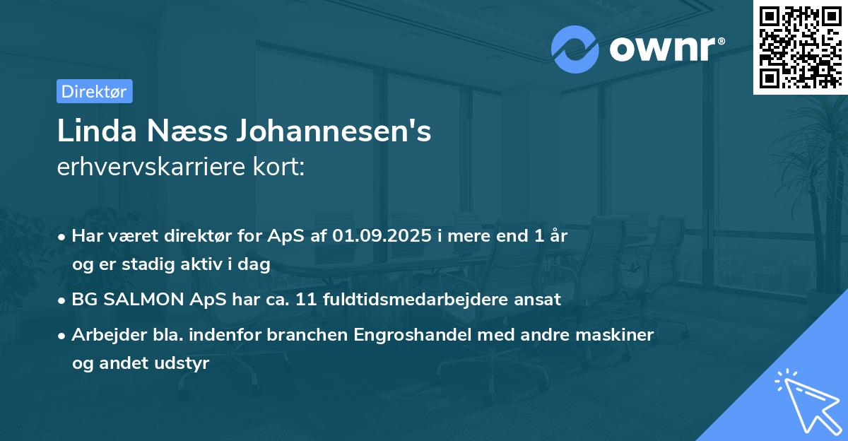 Linda Næss Johannesen's erhvervskarriere kort