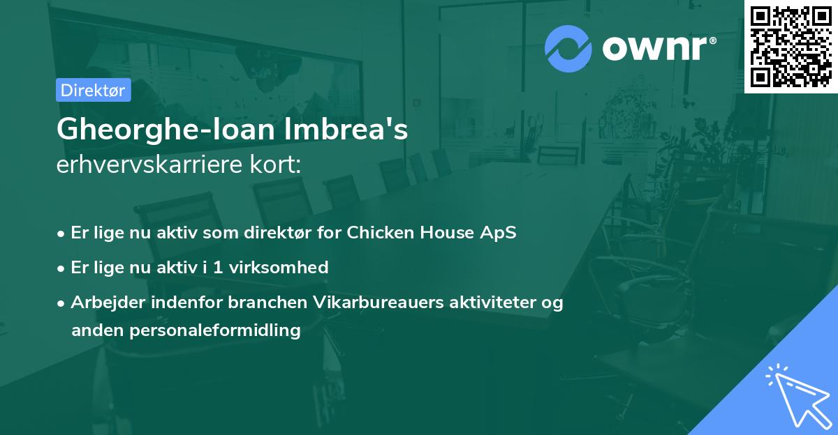 Gheorghe-Ioan Imbrea's erhvervskarriere kort