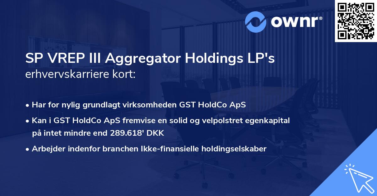 SP VREP III Aggregator Holdings LP's erhvervskarriere kort
