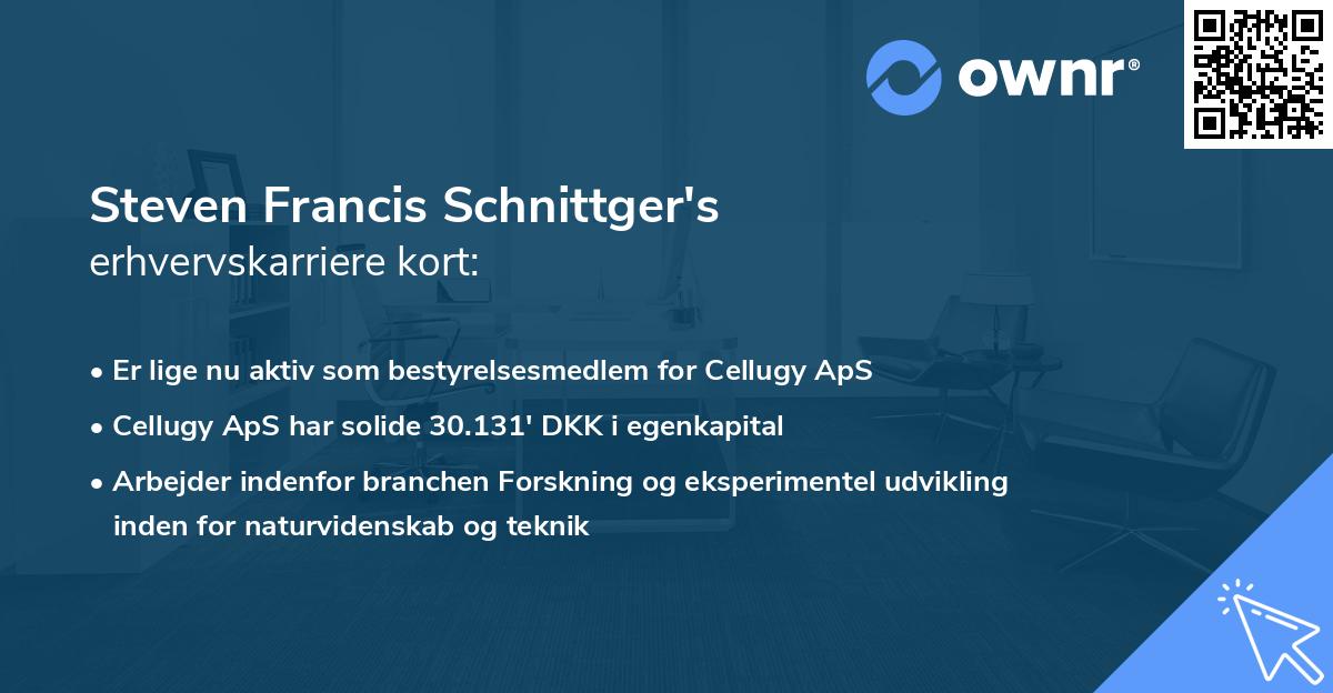 Steven Francis Schnittger's erhvervskarriere kort