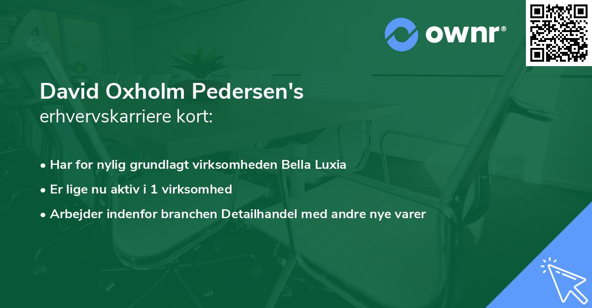 David Oxholm Pedersen's erhvervskarriere kort