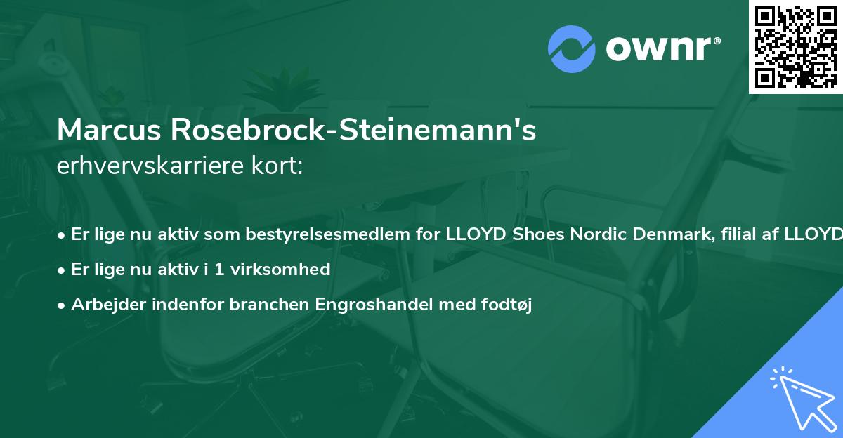 Marcus Rosebrock-Steinemann's erhvervskarriere kort