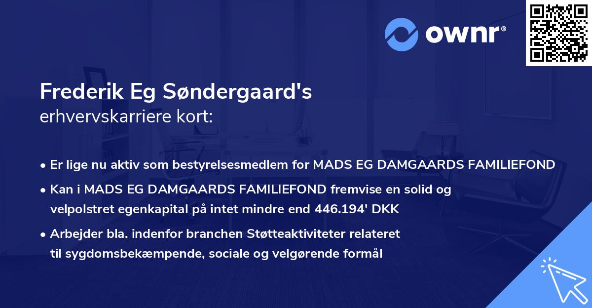 Frederik Eg Søndergaard's erhvervskarriere kort