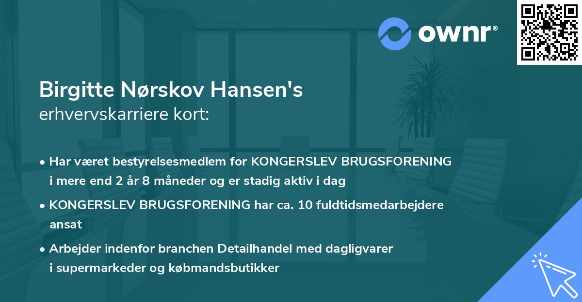 Birgitte Nørskov Hansen's erhvervskarriere kort