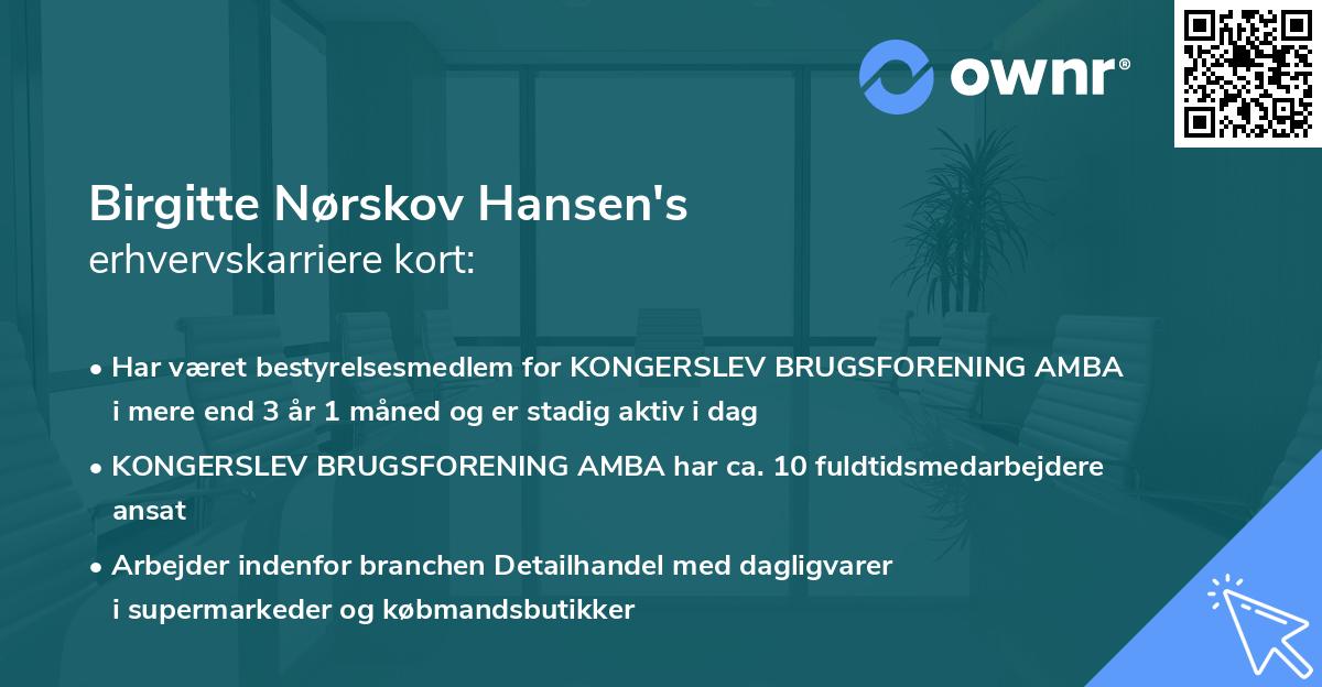 Birgitte Nørskov Hansen's erhvervskarriere kort