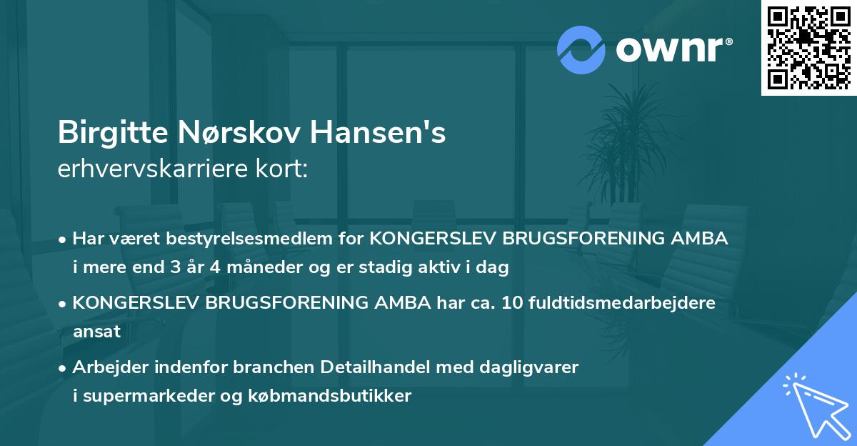 Birgitte Nørskov Hansen's erhvervskarriere kort