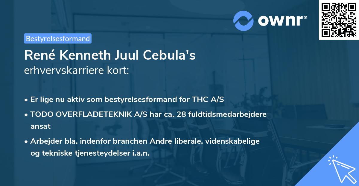 René Kenneth Juul Cebula's erhvervskarriere kort