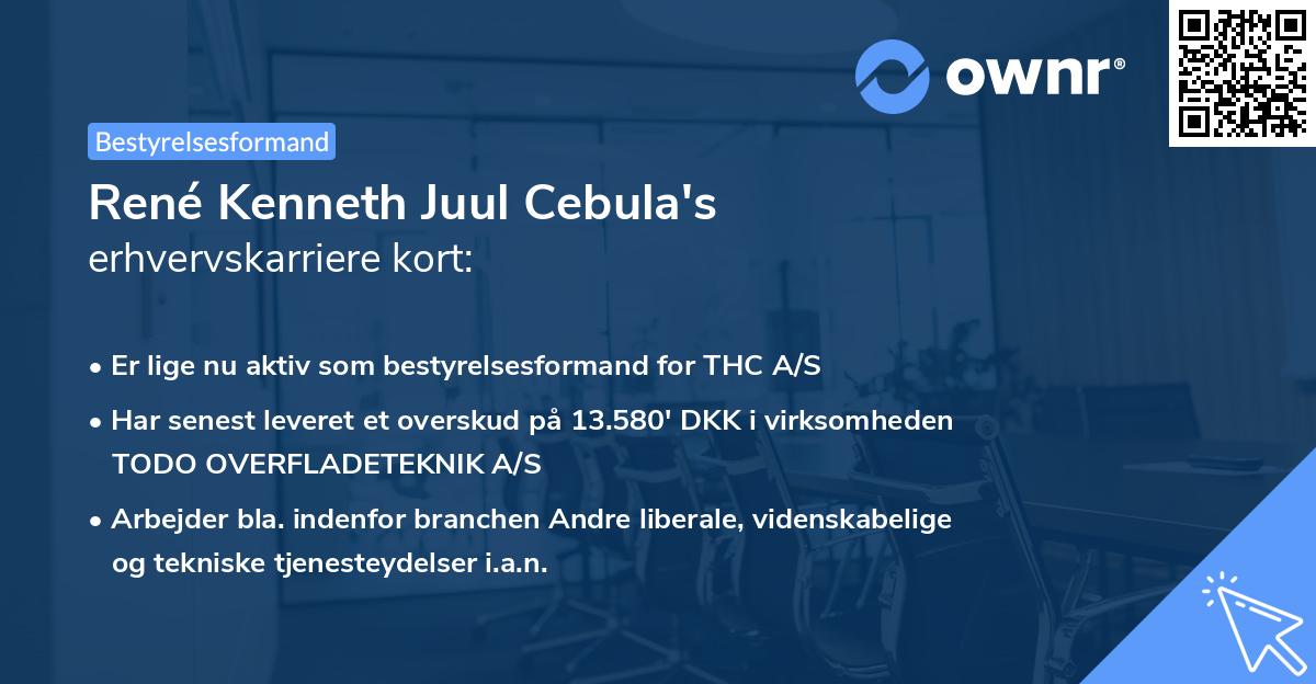 René Kenneth Juul Cebula's erhvervskarriere kort