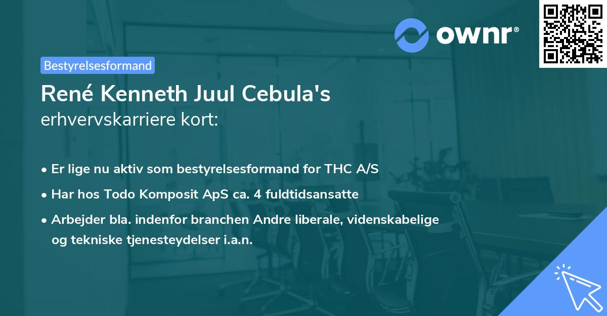 René Kenneth Juul Cebula's erhvervskarriere kort
