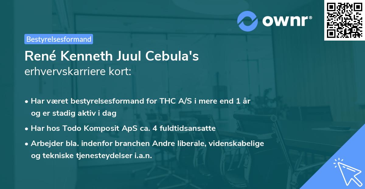 René Kenneth Juul Cebula's erhvervskarriere kort