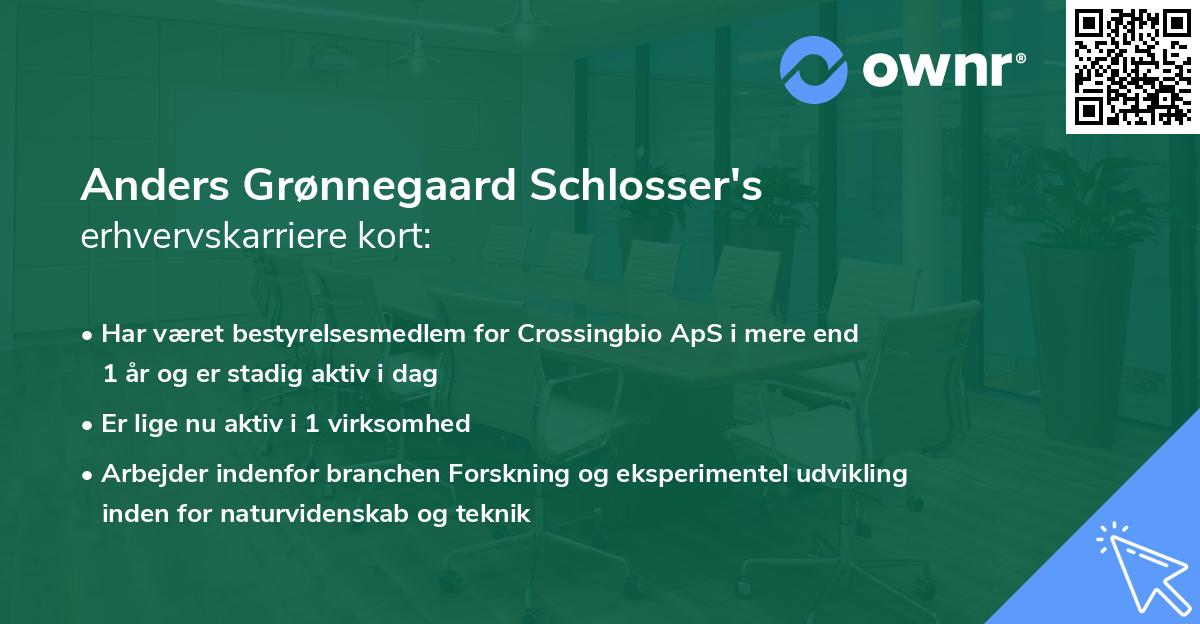 Anders Grønnegaard Schlosser's erhvervskarriere kort