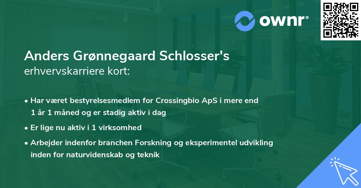 Anders Grønnegaard Schlosser's erhvervskarriere kort