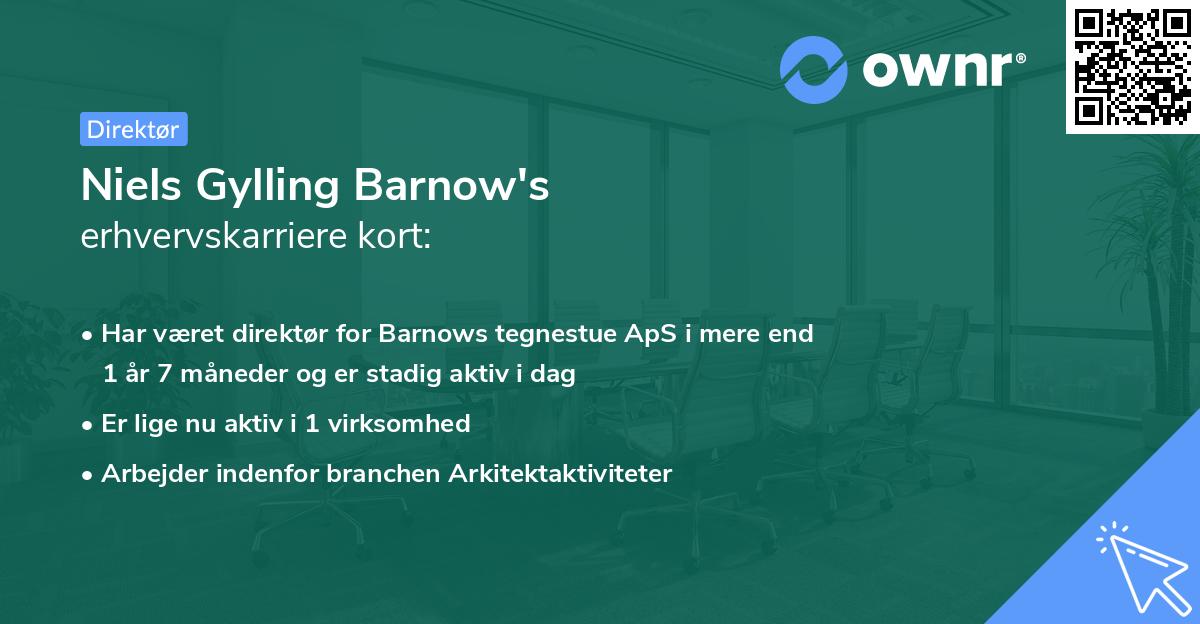 Niels Gylling Barnow's erhvervskarriere kort