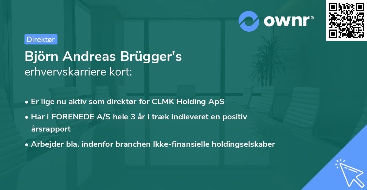 Björn Andreas Brügger's erhvervskarriere kort