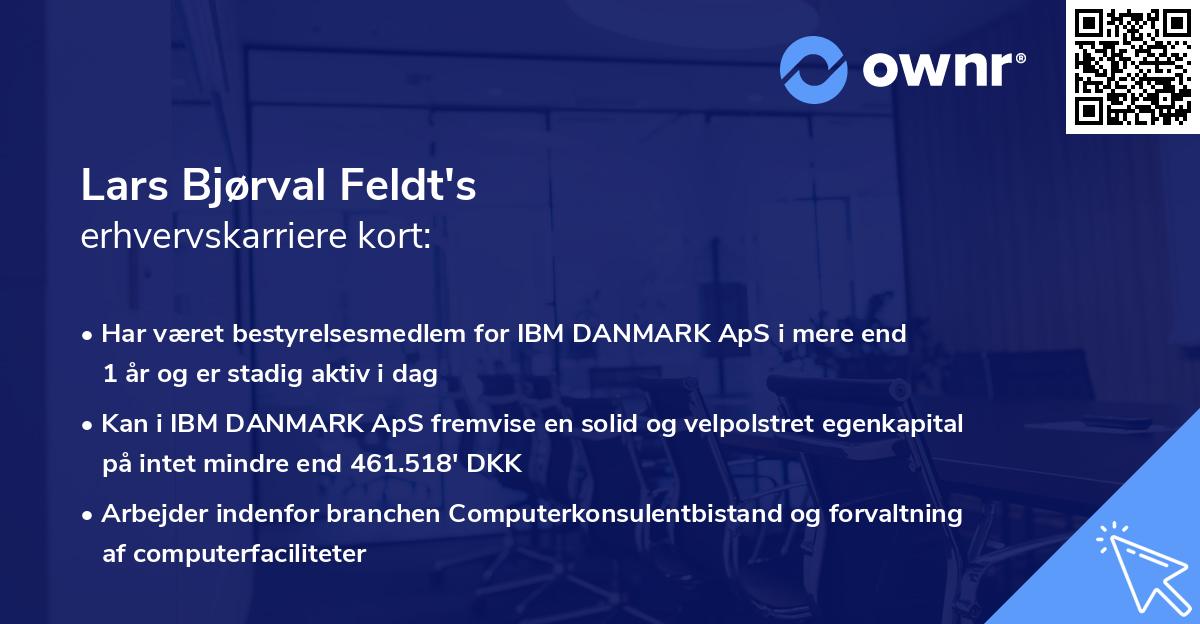 Lars Bjørval Feldt's erhvervskarriere kort