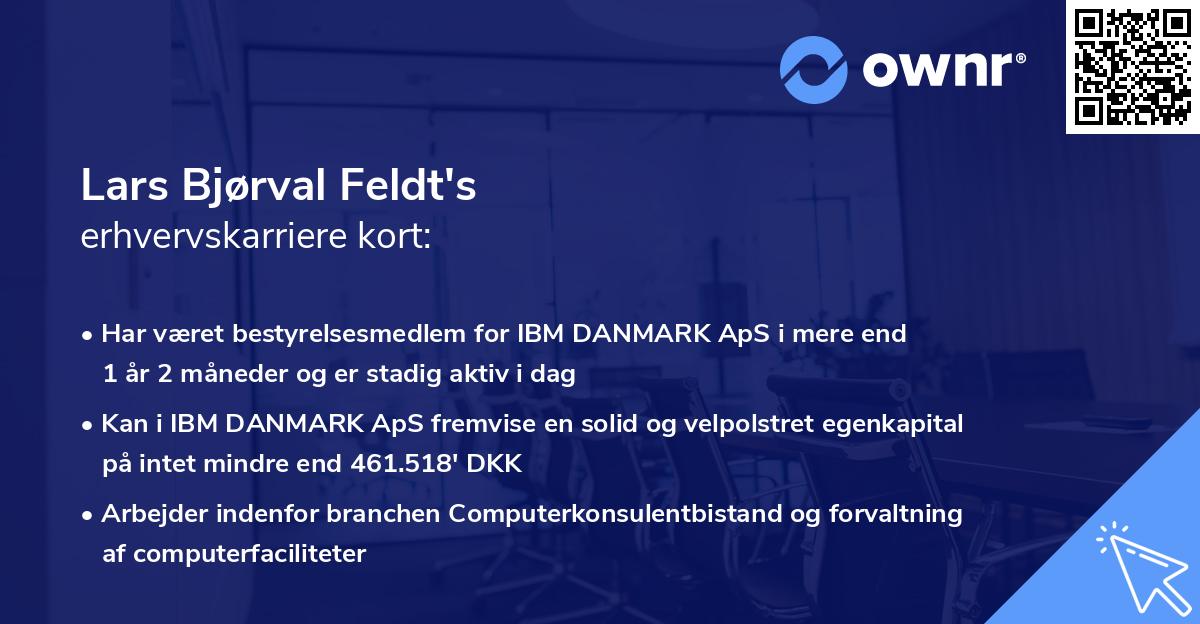 Lars Bjørval Feldt's erhvervskarriere kort