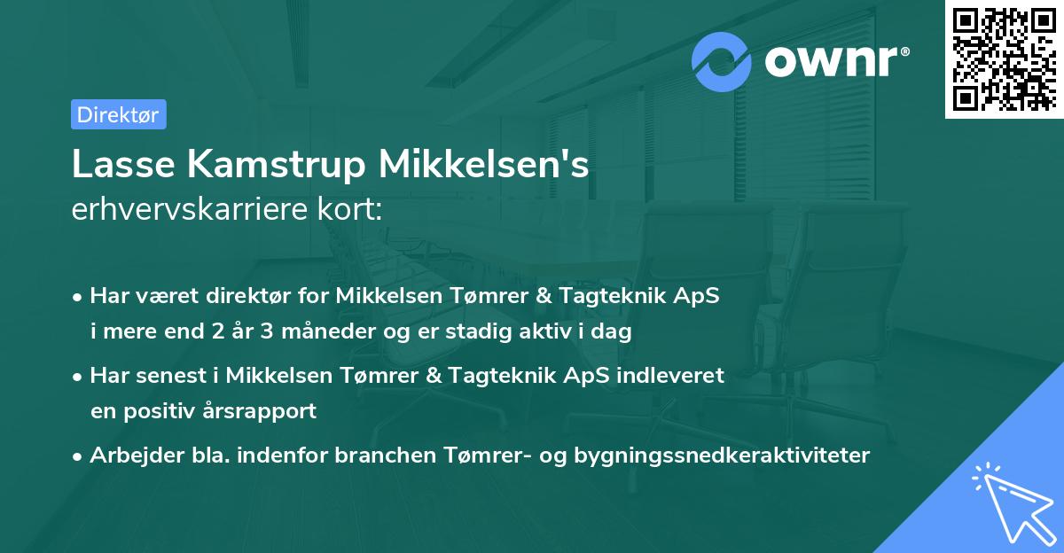 Lasse Kamstrup Mikkelsen's erhvervskarriere kort