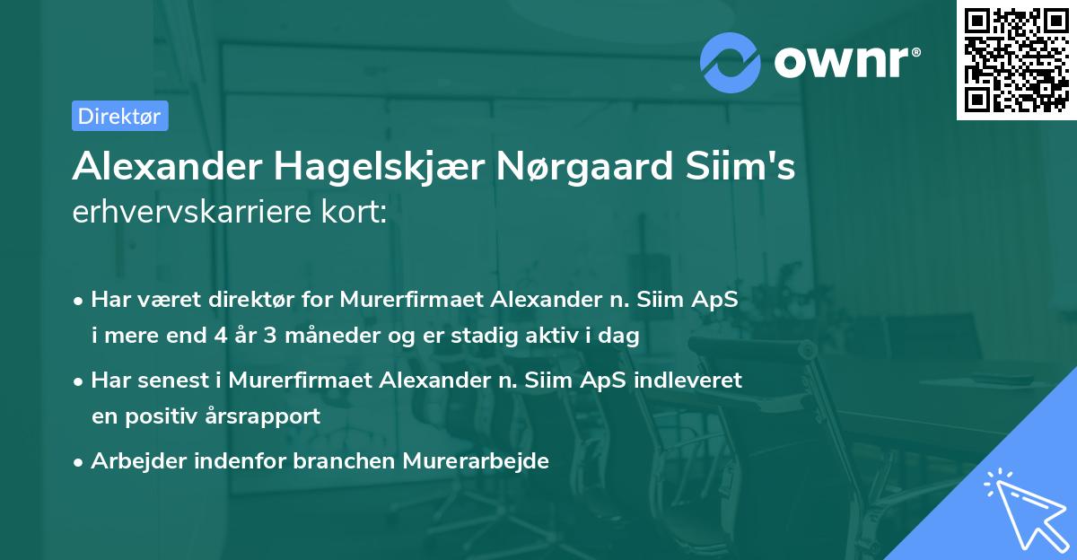 Alexander Hagelskjær Nørgaard Siim's erhvervskarriere kort