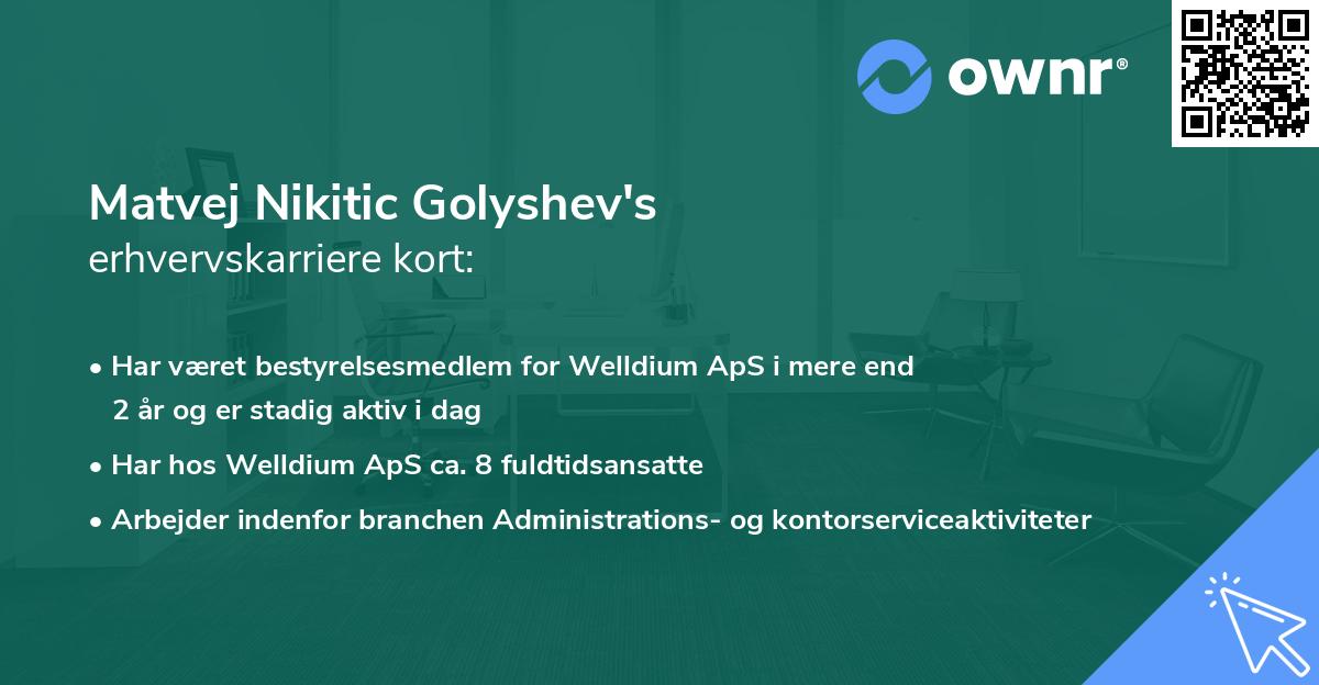 Matvej Nikitic Golyshev's erhvervskarriere kort