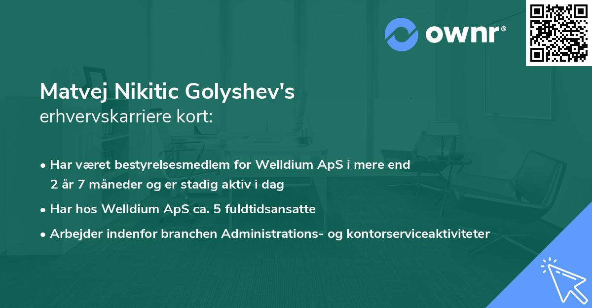 Matvej Nikitic Golyshev's erhvervskarriere kort
