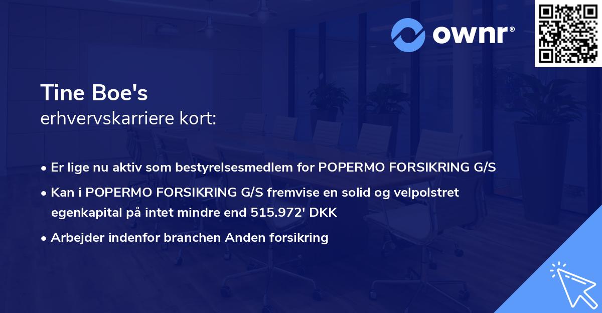 Tine Boe's erhvervskarriere kort